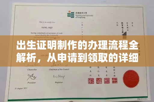 花地玛堂区出生证明制作的办理流程全解析，从申请到领取的详细指南