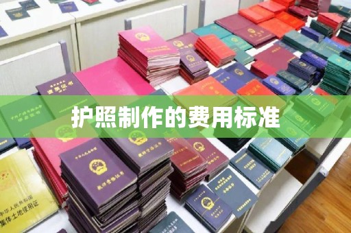 花地玛堂区护照制作的费用标准